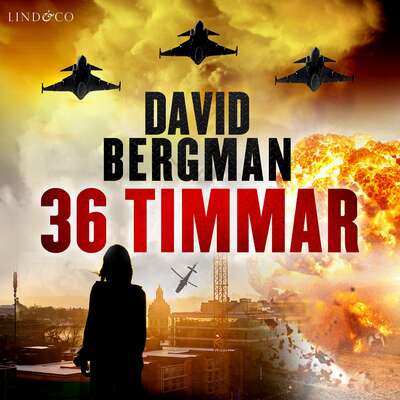 36 timmar - David Bergman.