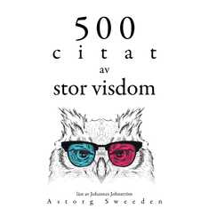 500 citat av stor visdom