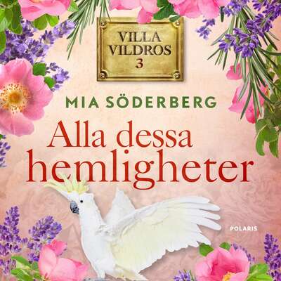 Alla dessa hemligheter - Mia Söderberg.