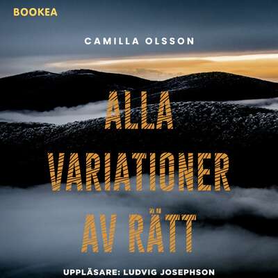 Alla variationer av rätt - Camilla Olsson.