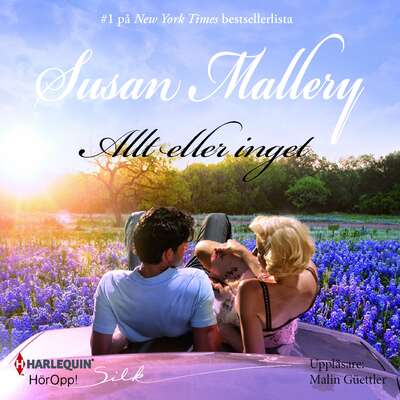 Allt eller inget - Susan Mallery.