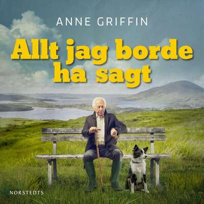 Allt jag borde ha sagt - Anne Griffin.