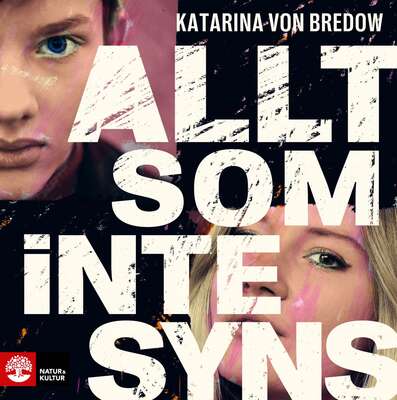 Allt som inte syns - Katarina von Bredow.