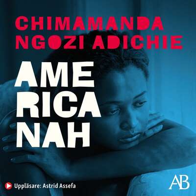 Americanah - Chimamanda Ngozi Adichie.