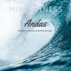 Andas