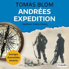 Andrées expedition