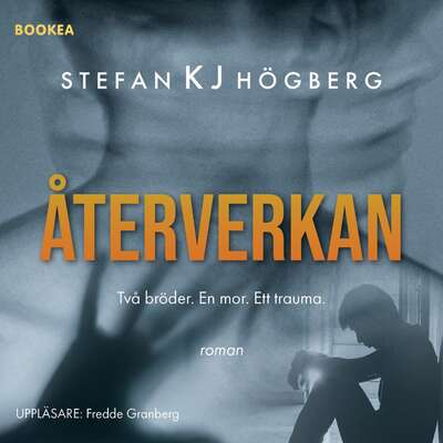 Återverkan - Stefan KJ Högberg.