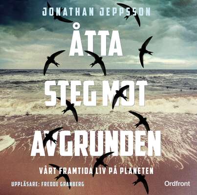 Åtta steg mot avgrunden - Jonathan Jeppsson.