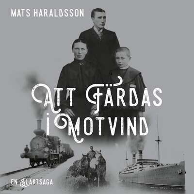 Att färdas i motvind : en släktsaga - Mats Haraldsson.