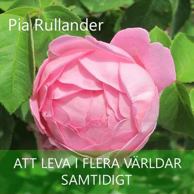 Att leva i flera världar - samtidigt - Pia Rullander.