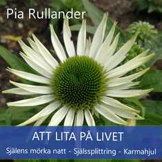 Att lita på Livet. Själens mörka natt, Själssplittring och Karmahjul