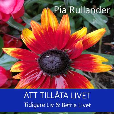 Att tillåta livet - leva. Tidigare Liv & Befria Livet.