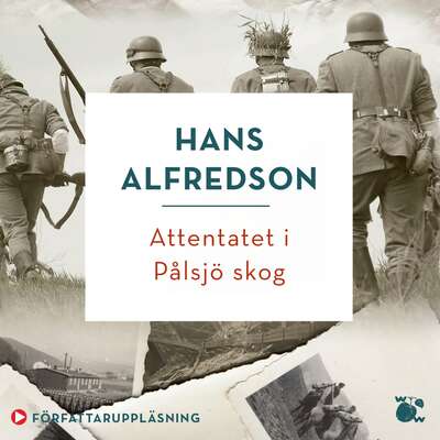 Attentatet i Pålsjö skog - Hans Alfredson.