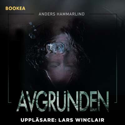 Avgrunden - Anders Hammarlind.