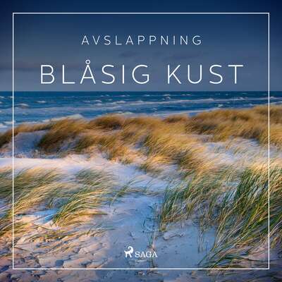 Avslappning - Blåsig kust - Rasmus Broe.