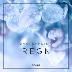 Avslappning - Regn