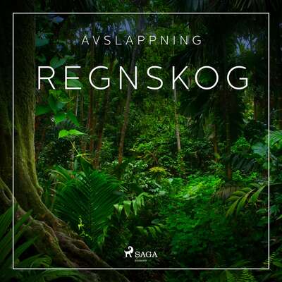 Avslappning - Regnskog - Rasmus Broe.