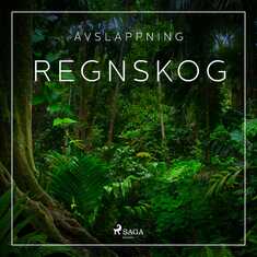 Avslappning - Regnskog