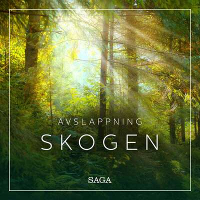 Avslappning - Skogen - Rasmus Broe.