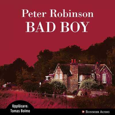 Bad Boy - Peter Robinson.