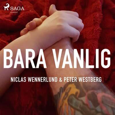 Bara vanlig - Peter Westberg och Niclas Wennerlund.