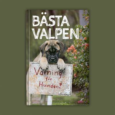 Bästa Valpen - Maria Brandel och Siv Svendsen.