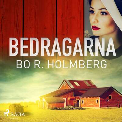 Bedragarna - Bo R. Holmberg.