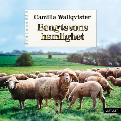 Bengtssons hemlighet / Lättläst - Camilla Wallqvister.