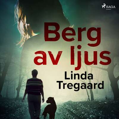 Berg av ljus - Linda Tregaard.