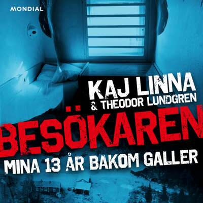 Besökaren: Mina 13 år bakom galler - Theodor Lundgren och Kaj Linna.