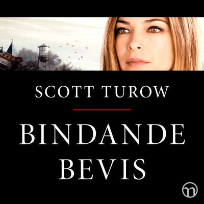 Bindande bevis - Scott Turow.