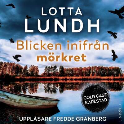 Blicken inifrån mörkret - Lotta Lundh.