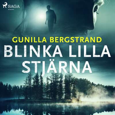 Blinka lilla stjärna - Gunilla Bergstrand.