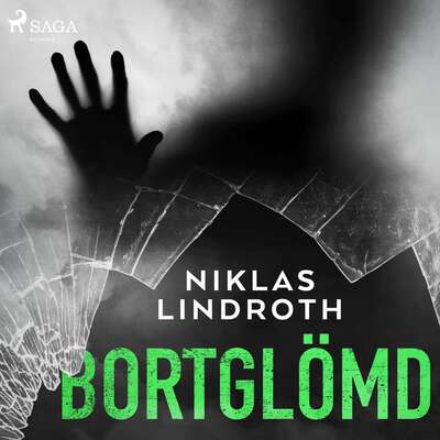 Bortglömd - Niklas Lindroth.