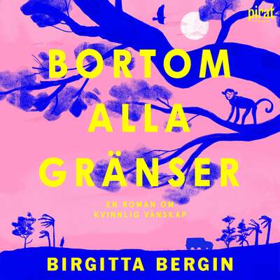 Bortom alla gränser - Birgitta Bergin.