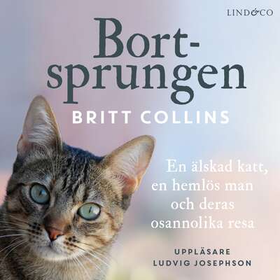 Bortsprungen - Britt Collins.