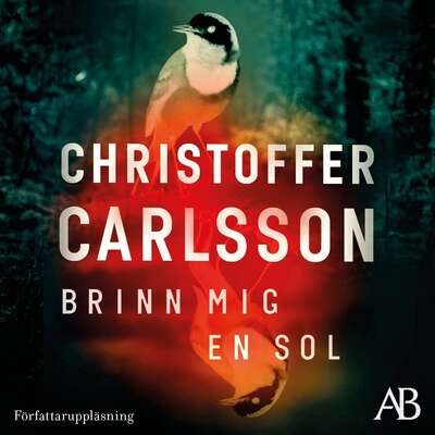 Brinn mig en sol - Christoffer Carlsson.