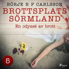 Brottsplats Sörmland. 5, En odyssé av brott