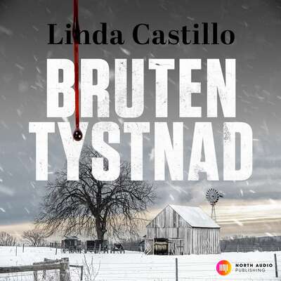 Bruten tystnad - Linda Castillo.