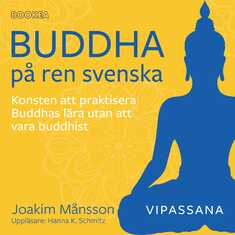 Buddha på ren svenska : konsten att praktisera Buddhas lära utan att vara Buddhist