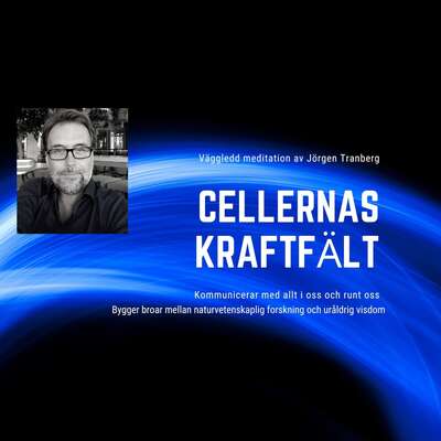 Cellernas kraftfält - meditation - Jörgen Tranberg.