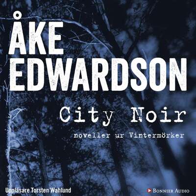 City Noir : noveller ur Vintermörker - Åke Edwardson.