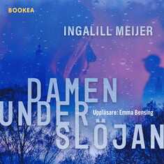 Damen under slöjan