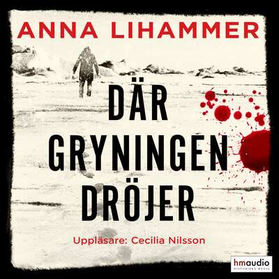 Där gryningen dröjer - Anna Lihammer.