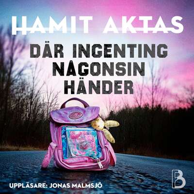 Där ingenting någonsin händer - Hamit Aktas.