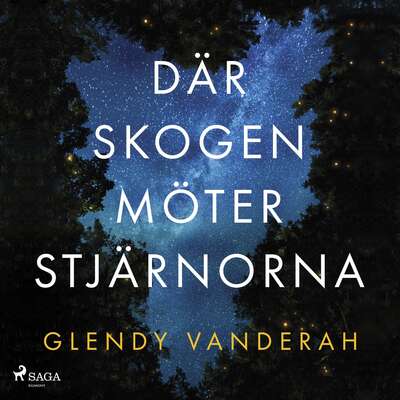 Där skogen möter stjärnorna - Glendy Vanderah.