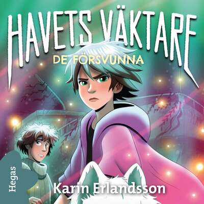 De försvunna - Karin Erlandsson.