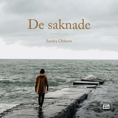 De saknade - Sandra Ohlsson.