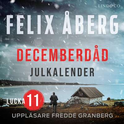 Decemberdåd: Lucka 11 - Felix Åberg.