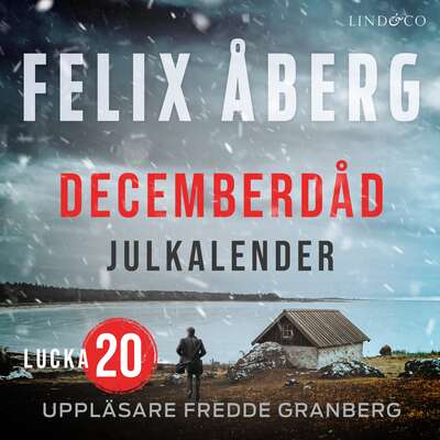 Decemberdåd: Lucka 20 - Felix Åberg.